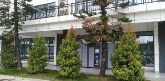 石家莊學機器人技術應用該去哪？