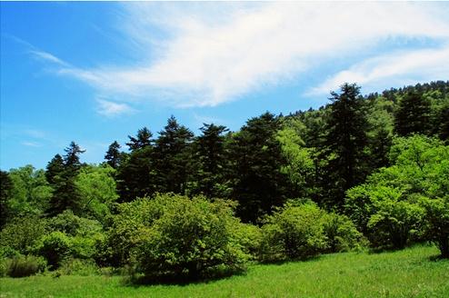 邢臺(tái)沙河市綜合職教中心現(xiàn)代林業(yè)技術(shù)怎么樣？