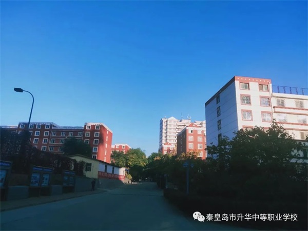 電子商務(wù)專(zhuān)業(yè)有哪些優(yōu)勢(shì)？